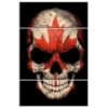 Malen Nach Zahlen Totenkopf - Kanada 3-teilig Versand Aus DE