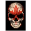 Malen Nach Zahlen Totenkopf - Kanada Versand Aus DE