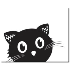 Malen Nach Zahlen Katze Gesicht Schwarzweiss Versand Aus DE