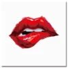 Malen Nach Zahlen Beißende Rote Lippen Versand Aus DE