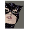 Malen Nach Zahlen Catwoman Illustration Versand Aus DE