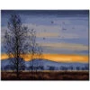Malen Nach Zahlen Gänse Fliegen Im Winterhimmel über Bäume