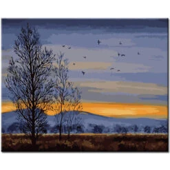 Malen Nach Zahlen Gänse Fliegen Im Winterhimmel über Bäume