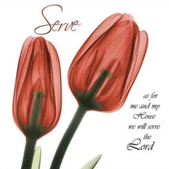 Malen Nach Zahlen Zwei Geschlossene Tulpen