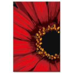 Malen Nach Zahlen Afrikanisches Gänseblümchen Versand Aus DE