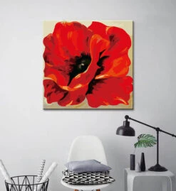 Malen Nach Zahlen Klatschmohn Coquelicot Versand Aus DE -myPaintLab Deutschland Verkaufs-Shop art natur 108 1 3