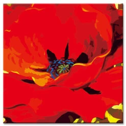 Malen Nach Zahlen Klatschmohn Mohnblume Versand Aus DE