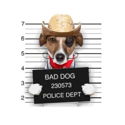 Malen Nach Zahlen Kunst Verbrecherhund Mit Cowboyhut