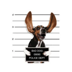 Malen Nach Zahlen Kunst Verbrecherhund Mit Fliegenden Ohren