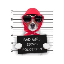 Malen Nach Zahlen Kunst Verbrecherhund Mit Sonnenbrille Und Kopftuch