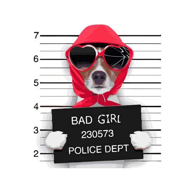 Malen Nach Zahlen Kunst Verbrecherhund Mit Sonnenbrille Und Kopftuch 1 Malen Nach Zahlen Kunst Verbrecherhund Mit Sonnenbrille Und Kopftuch