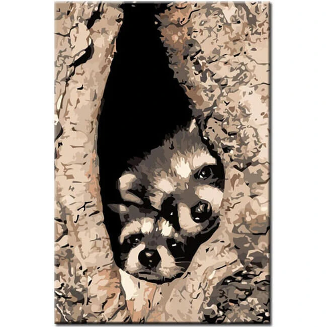 Malen Nach Zahlen Kunst Tier Waschbären Gucken Aus Baumloch 1 Malen Nach Zahlen Kunst Tier Waschbären Gucken Aus Baumloch