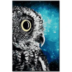 Malen Nach Zahlen Kunst Tier Eule Im Profil