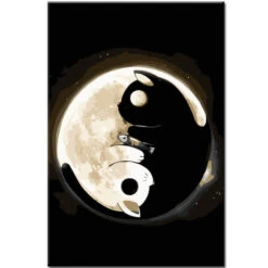 Malen Nach Zahlen Schwarze Und Weiße Katze Als Ying Yang