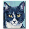 Malen Nach Zahlen Kunst Tier Schwarz-weißer Katzenkopf