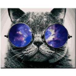 Malen Nach Zahlen Katze Mit Brille