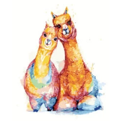 Malen Nach Zahlen Kunst Tier Zwei Schmusende Alpakas