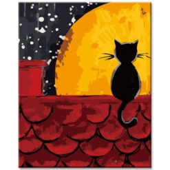 Malen Nach Zahlen Schwarze Katze Bei Nacht Auf Dem Hausdach