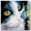 Malen Nach Zahlen Kunst Malerei Schwarze-weisse Katze