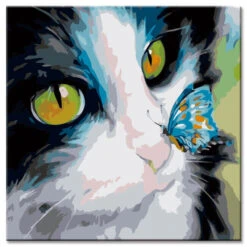 Malen Nach Zahlen Kunst Malerei Schwarze-weisse Katze