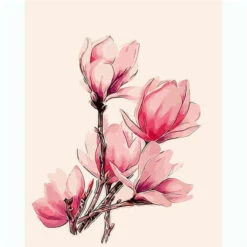 Malen Nach Zahlen Blütenzweig