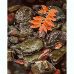 Malen Nach Zahlen Herbstblatt