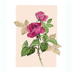 Malen Nach Zahlen Rosenzweig