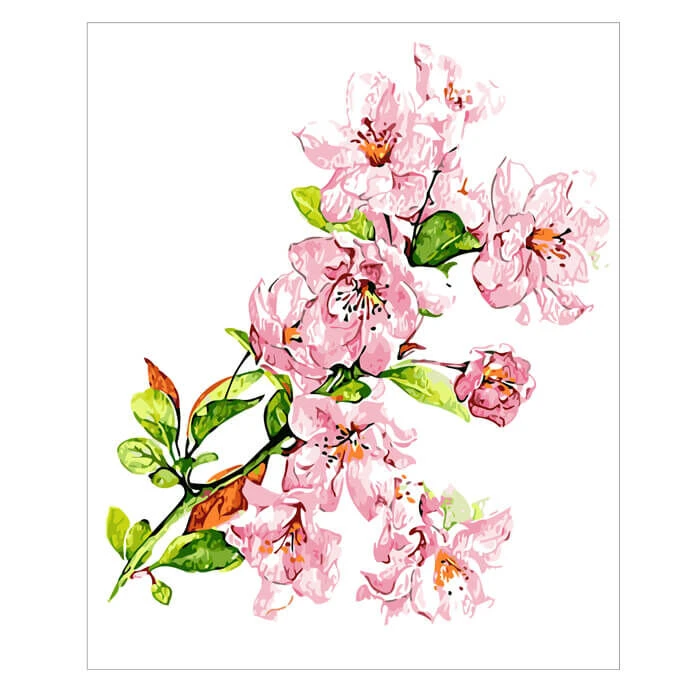 Malen Nach Zahlen Buschwindröschen 1 Malen Nach Zahlen Buschwindröschen