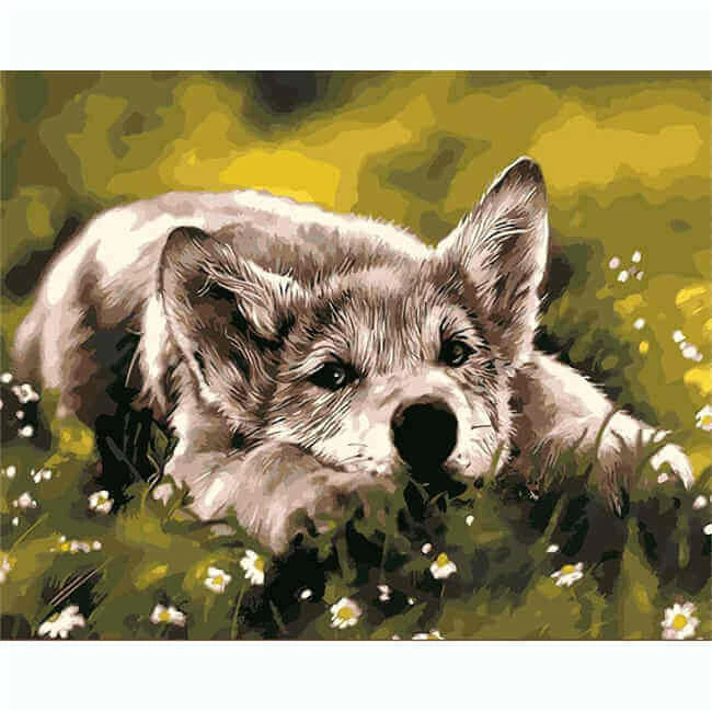 Malen Nach Zahlen Hundeblick 1 Malen Nach Zahlen Hundeblick