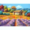 Malen Nach Zahlen Lavendelfeld Mit Haus