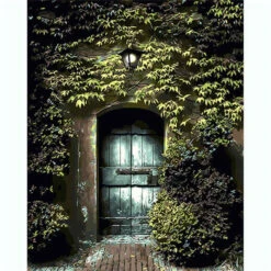 Malen Nach Zahlen Efeutor