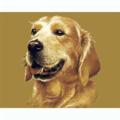 Malen Nach Zahlen Beiger Labrador