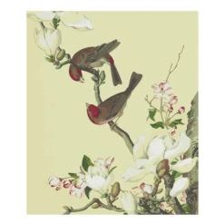 Malen Nach Zahlen Vögel Und Blüten