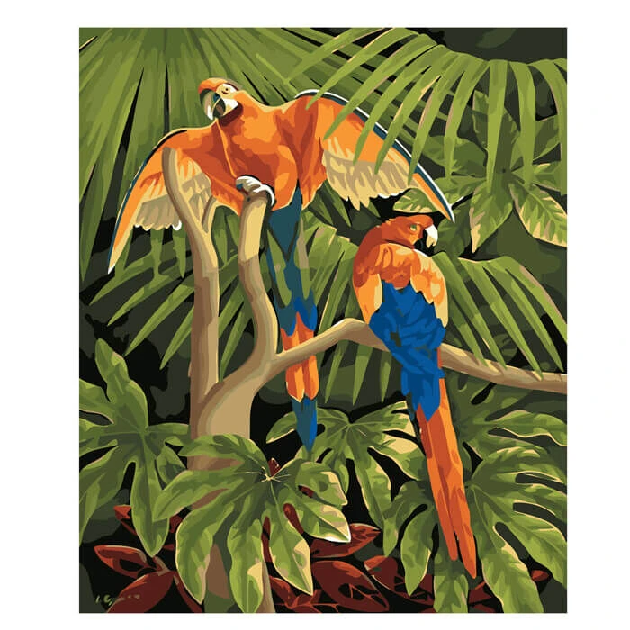 Malen Nach Zahlen Papageien 1 Malen Nach Zahlen Papageien