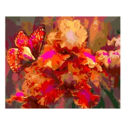 Malen Nach Zahlen Iris Und Schmetterling