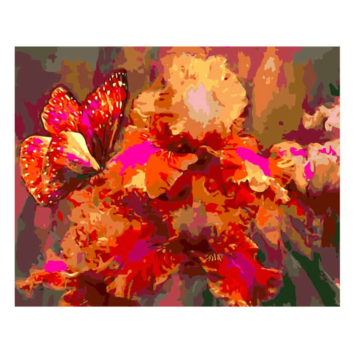 Malen Nach Zahlen Iris Und Schmetterling 1 Malen Nach Zahlen Iris Und Schmetterling
