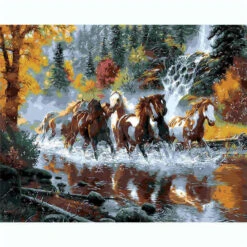 Malen Nach Zahlen Pferde Im Wasser