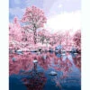 Malen Nach Zahlen Bilder Rosa Bäume Spiegelung