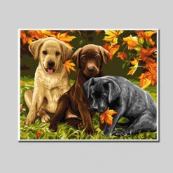 Malen Nach Zahlen 3 Hunde