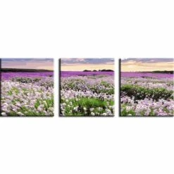 Malen Nach Zahlen Triptychon Blumen Felder