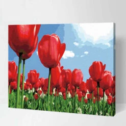 Malen Nach Zahlen Tulpenfeld