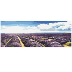 Malen Nach Zahlen Lavendelfeld