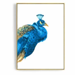 Malen Nach Zahlen Pfau