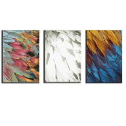 Malen Nach Zahlen 3-teilig Buntes Gefieder Weißes Gefieder