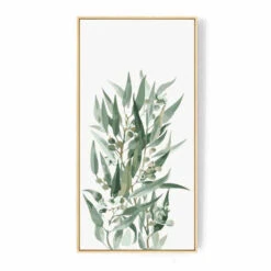 Malen Nach Zahlen Eukalyptus