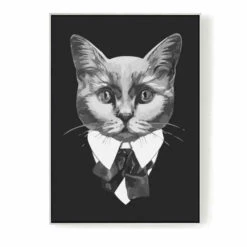 Malen Nach Zahlen Katze Schwarz Weiss