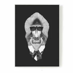 Malen Nach Zahlen Affe Cool Schwarz Weiss