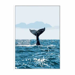 Malen Nach Zahlen Wal Im Meer