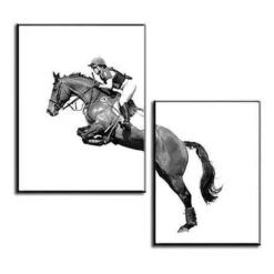 Malen Nach Zahlen Duo Springreiter Mit Pferd