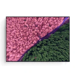 Malen Nach Zahlen Rosa Wald